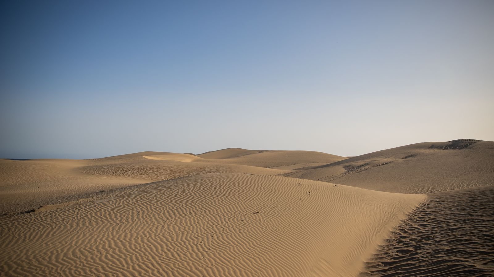 Dunes de sable de la réserve naturelle de Maspalomas, à côté de Playa del Inglés